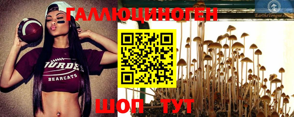 Галлюциногенные грибы Magic Shrooms  Вход с VPN  Искитим 
